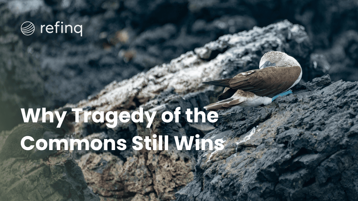tragedy of the commons; evolutionary ecology; climate risk; nature risk; corporate sustainability strategy; incentive design; market regulation; biodiversity